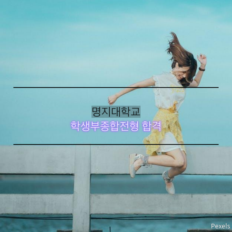 명지대학교 전공자유학부 합격