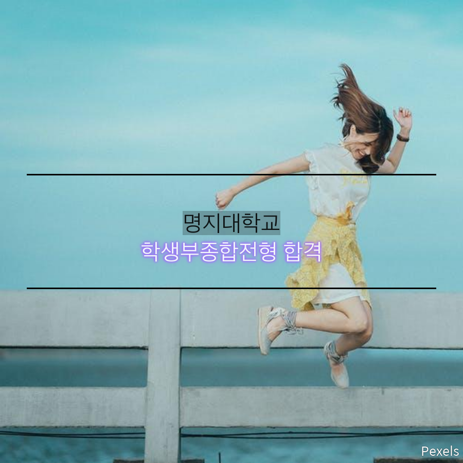 명지대학교 전공자유학부 합격
