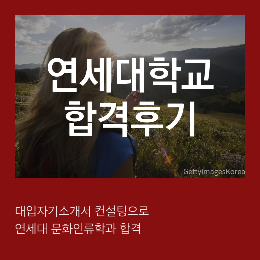 대입자기소개서 컨설팅으로 연세대 문화인류학과 합격