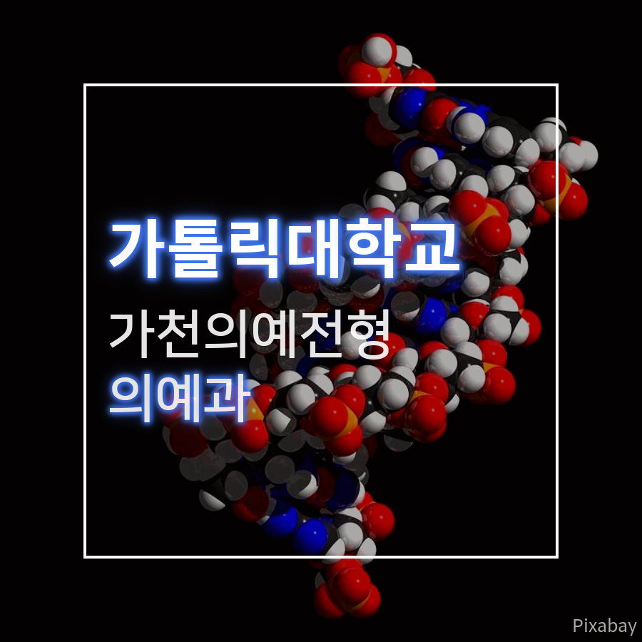 가천대학교 의예과 가천의예전형 최00 학생 자기소개서 컨설팅