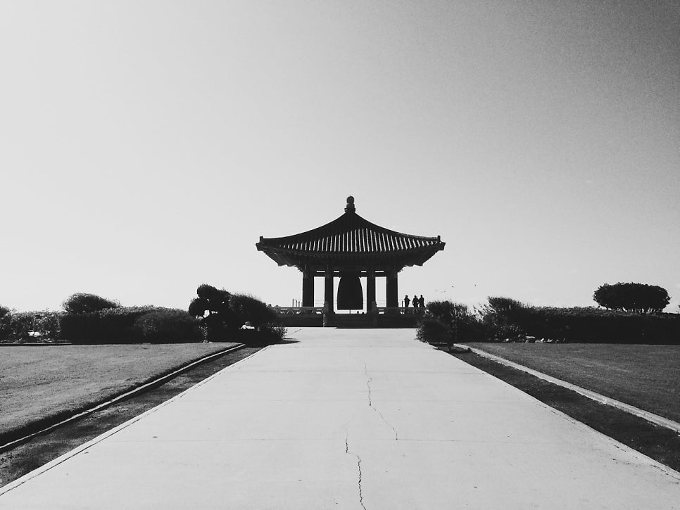 [대치동 데오럭스 입시 컨설팅 후기] 00고등학교 3학년(역사,사회복지)