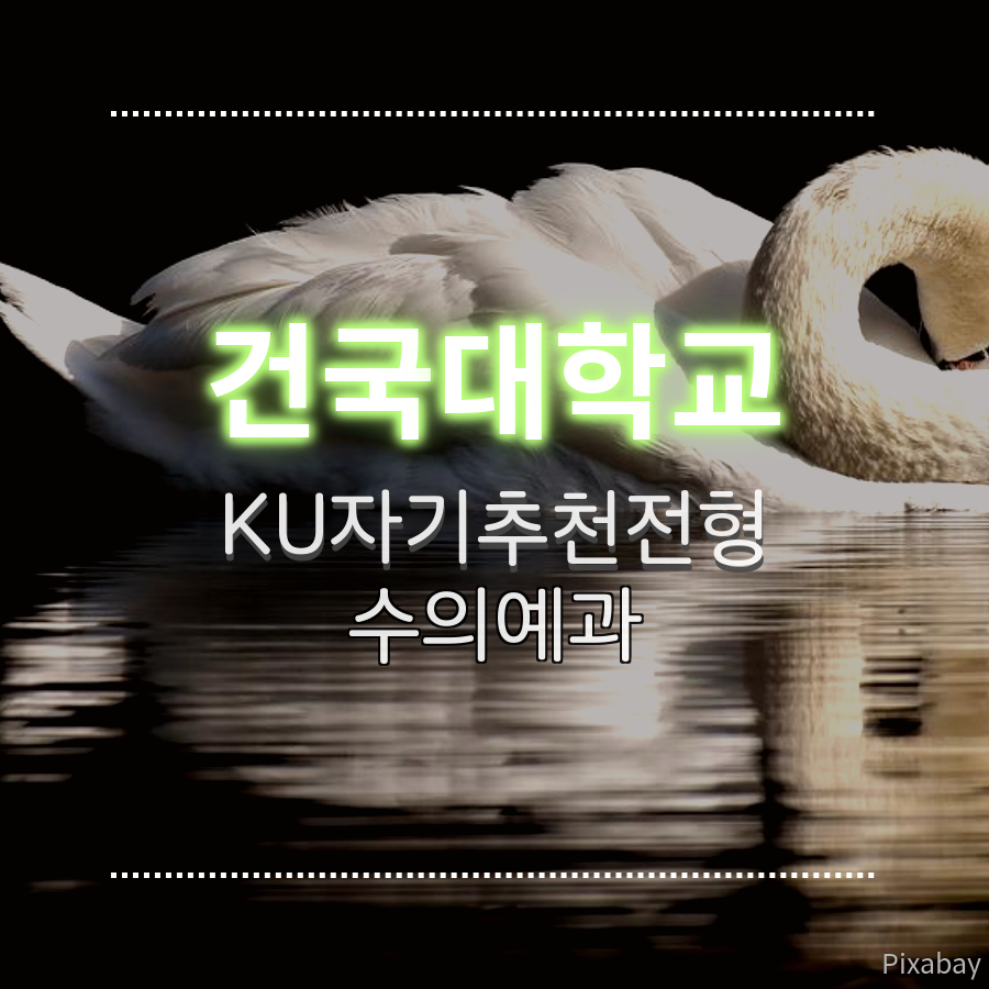 건국대학교 수의예과 KU자기추천전형 금00 학생 합격후기
