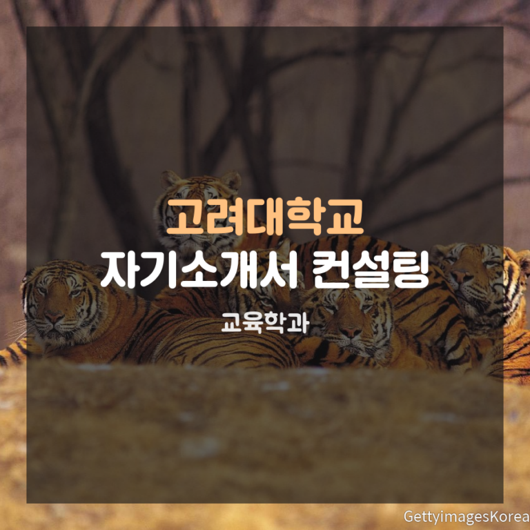 고려대학교 교육학과 학교장추천전형 이00 학생 자기소개서 컨설팅
