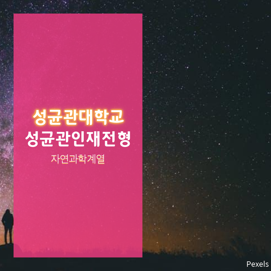 대입상담으로 성균관대(성균관 인재) 자연과학 계열 합격