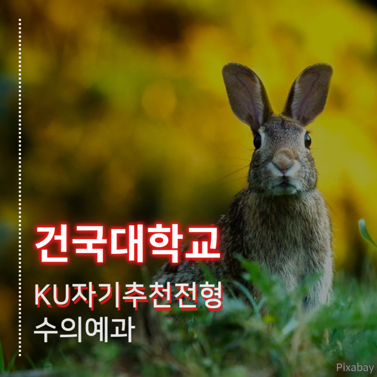 건국대학교 수의예과 KU자기추천전형 이00 학생 합격후기