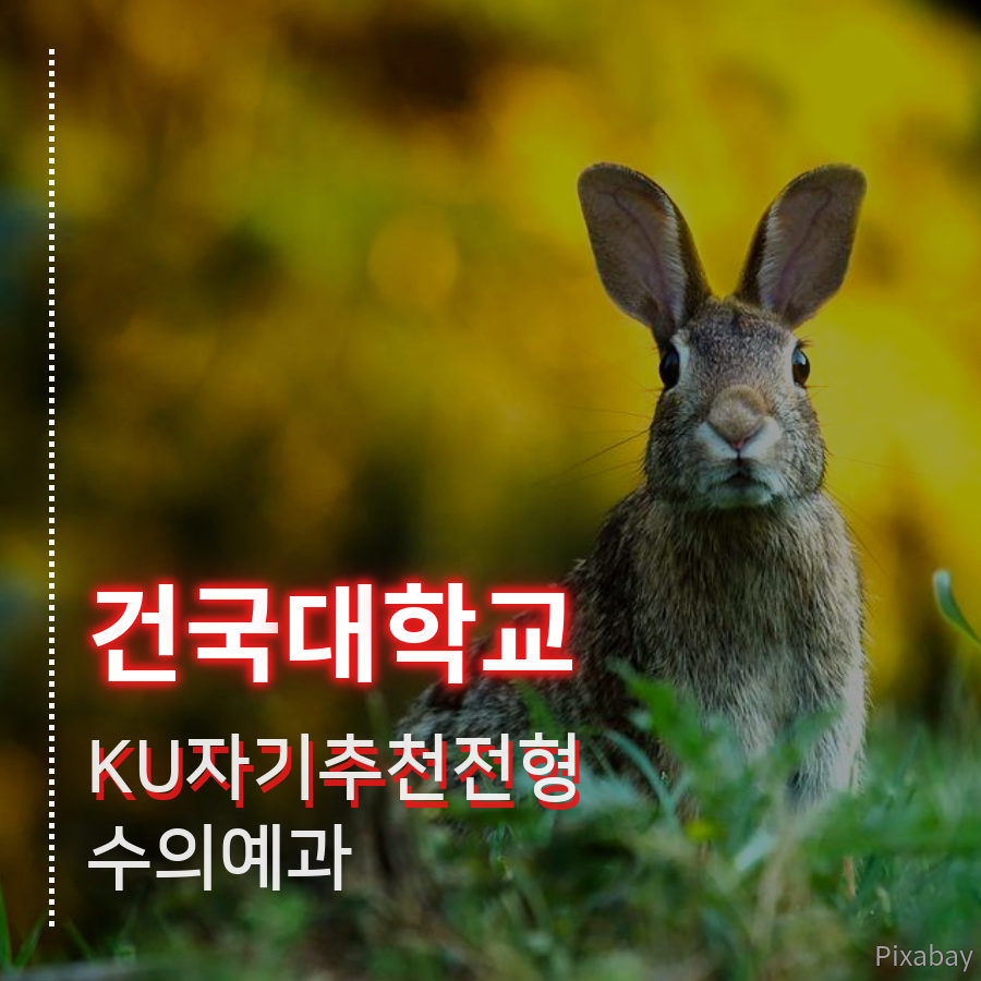 건국대학교 수의예과 KU자기추천전형 이00 학생 합격후기