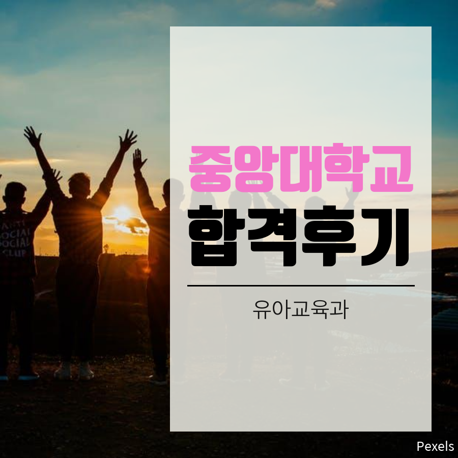 중앙대학교 유아교육학과 다빈치인재전형 합격후기