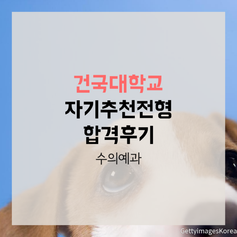건국대학교 수의예과 KU자기추천전형 금00 학생 자기소개서 컨설팅