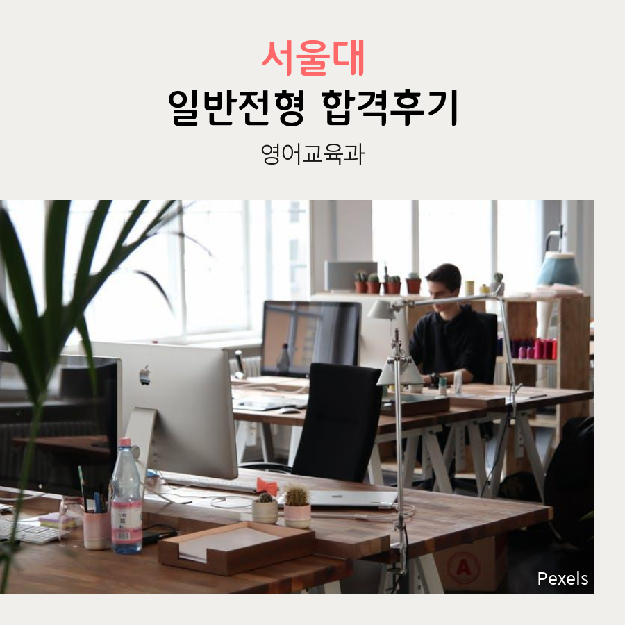 서울대 영어교육과 일반전형 이00 학생 합격후기