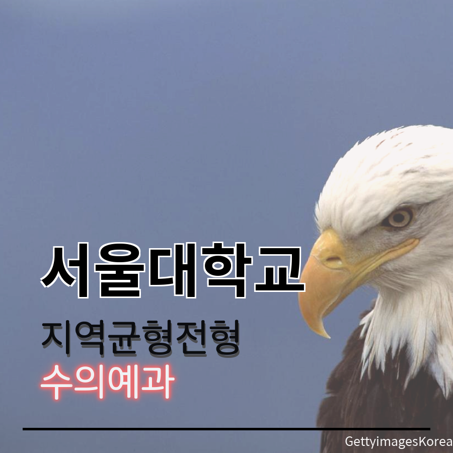서울대학교 수의예과 지역균형전형 조00 학생 합격후기
