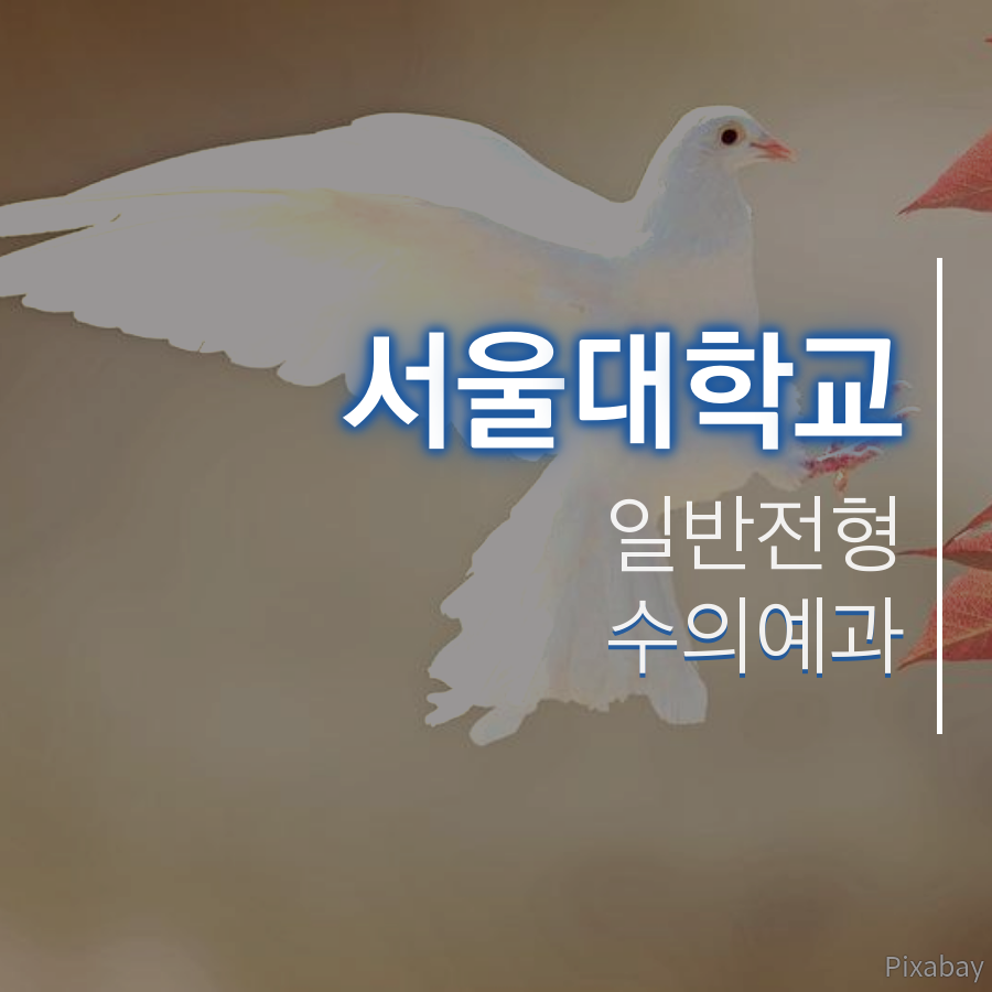 서울대학교 수의예과 일반전형 홍00 학생 합격후기