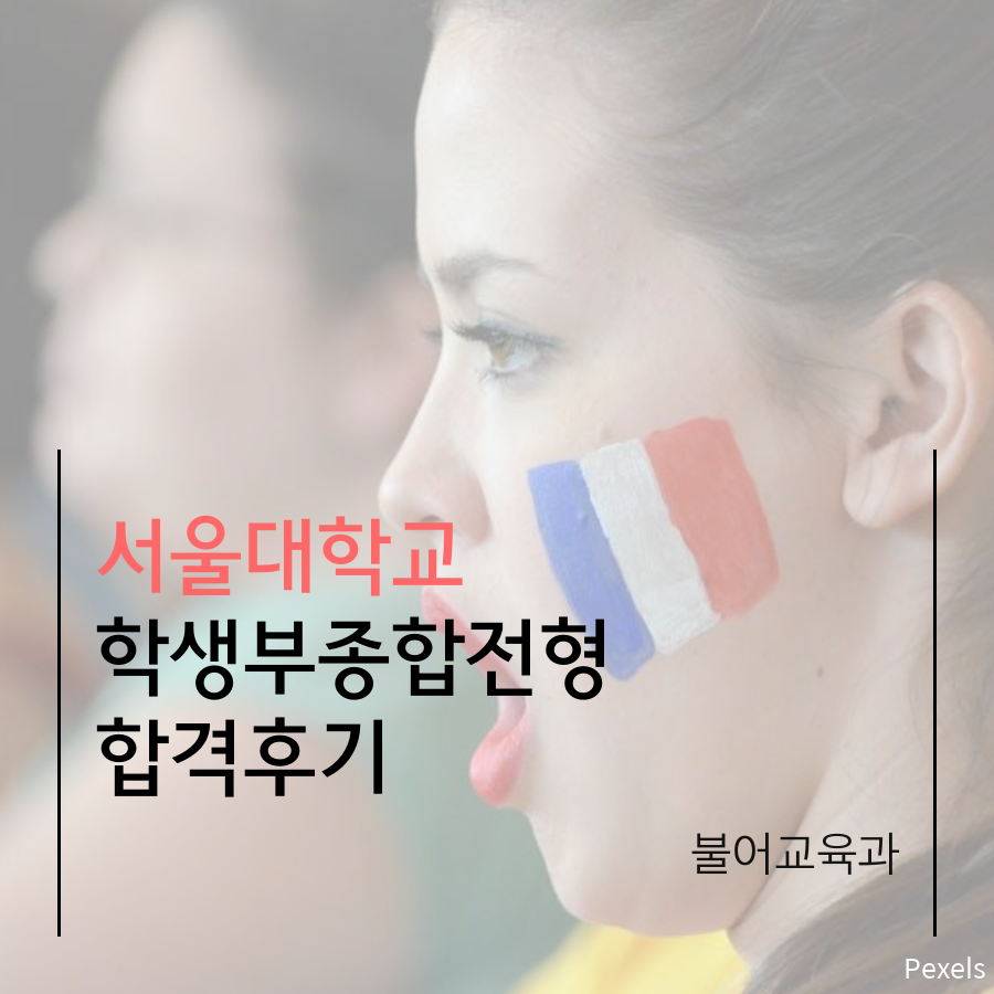 서울대학교 불어교육과 지역균형 남00 학생 합격후기