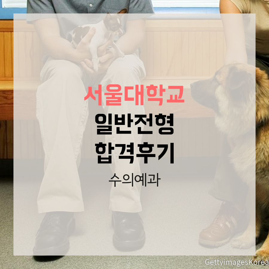 서울대학교 수의예과 일반전형 홍00 학생 자기소개서 컨설팅