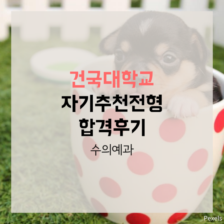 건국대학교 수의예과 KU자기추천전형 이00 학생 자기소개서 컨설팅
