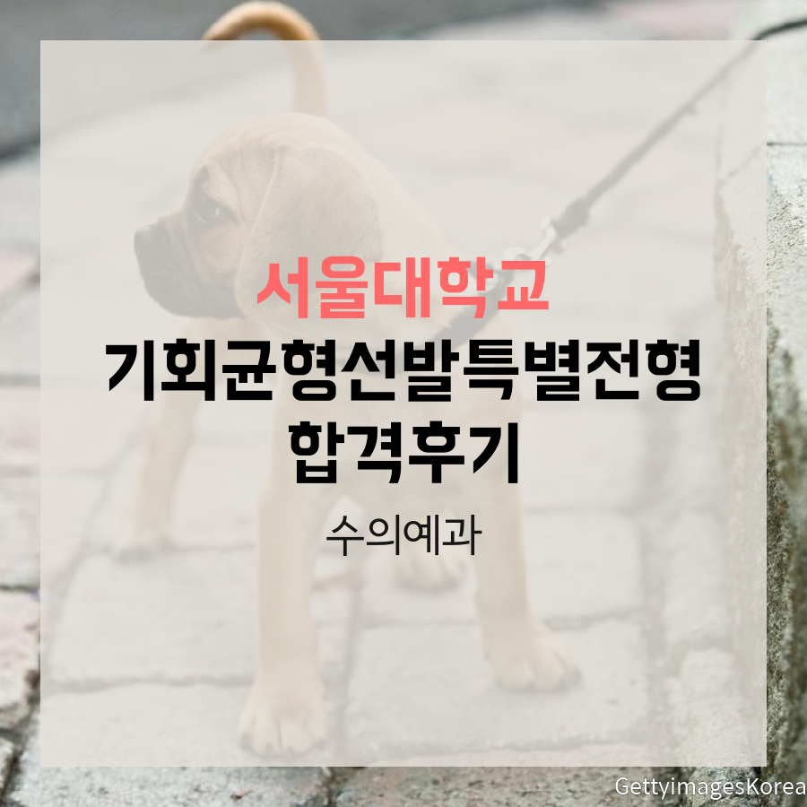 서울대학교 수의예과 기회균형선발특별전형 조00 학생 자기소개서 컨설팅