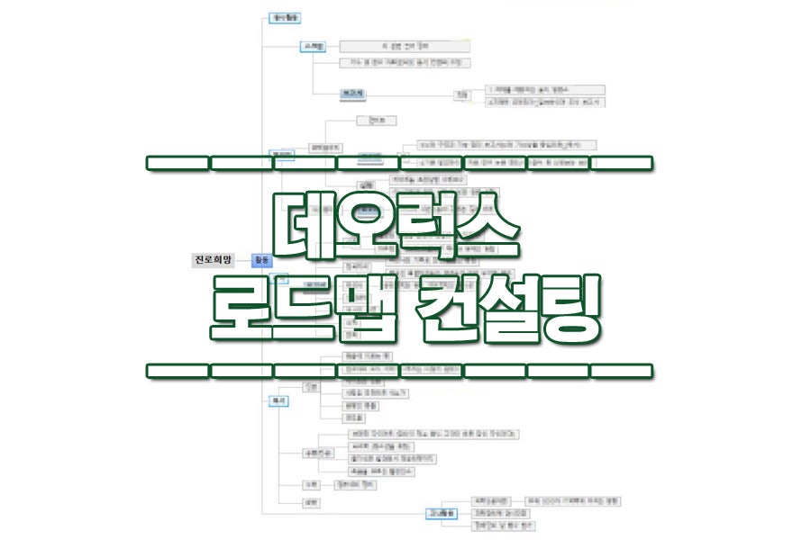 데오럭스 학생부종합전형 로드맵컨설팅 합격사례