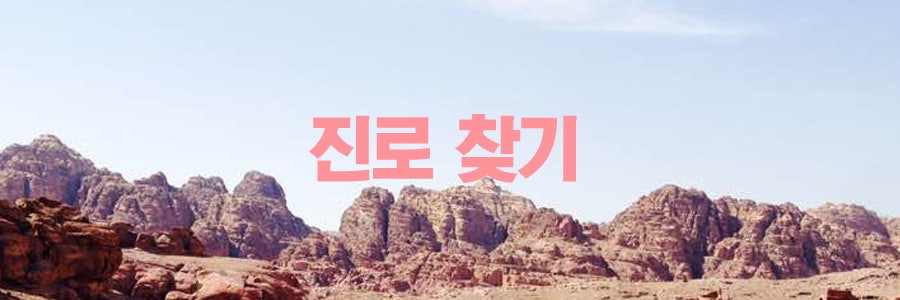 고등학생 진로 컨설팅 성공사례