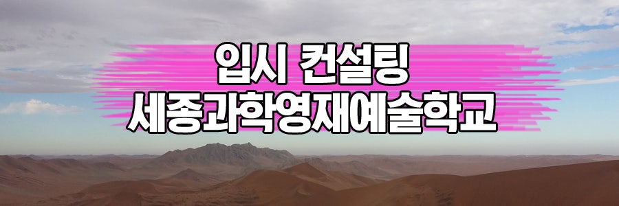 세종과학영재예술학교 1차 합격 사례