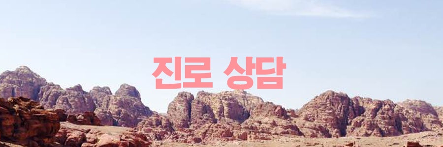 고등학생 진로 컨설팅 성공사례